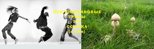 трава Абдулино