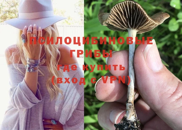 трава Абдулино