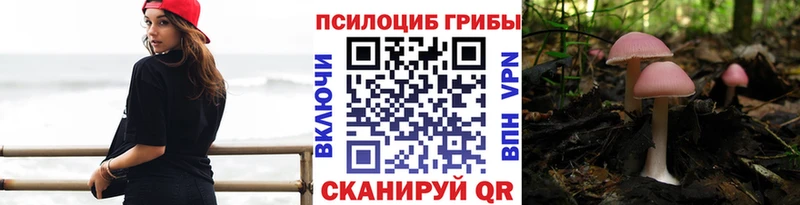 как найти закладки Советская Гавань Псилоцибиновые грибы Psilocybe